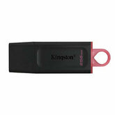 USB stick Kingston DTX/256GB Black 256 GB